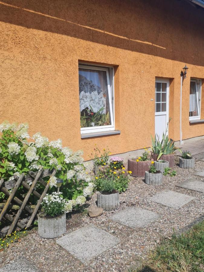 Ferienwohnung Warnitz Blankenburg  Bagian luar foto